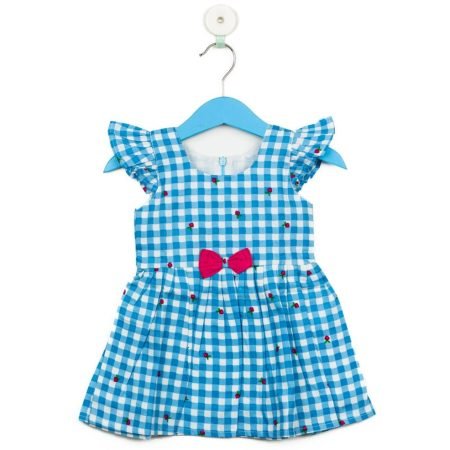 Blue and White Checks with Strawberry Print Frock/6_7 Years