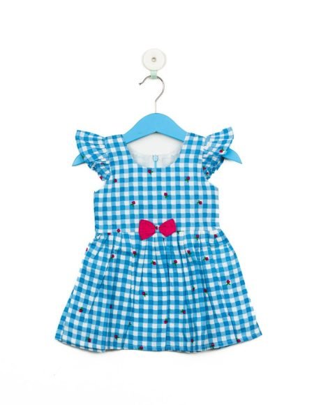 Blue and White Checks with Strawberry Print Frock/6_7 Years