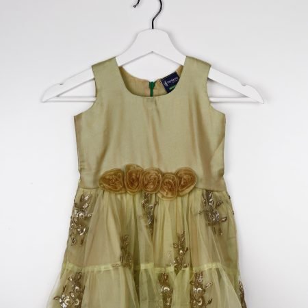 The Green and Gold Party Frock