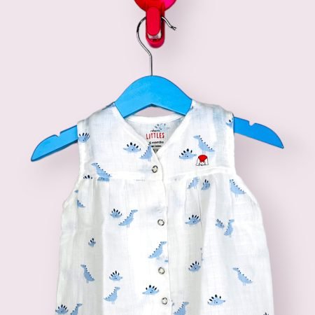 Dinosaur Muslin Front Yoke Frock/6-12 Month