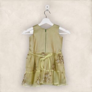 Green And Gold Net Party Frock/6-7 Years