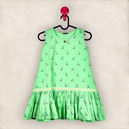 Pista Line Bird A Line Frock/6_7 years