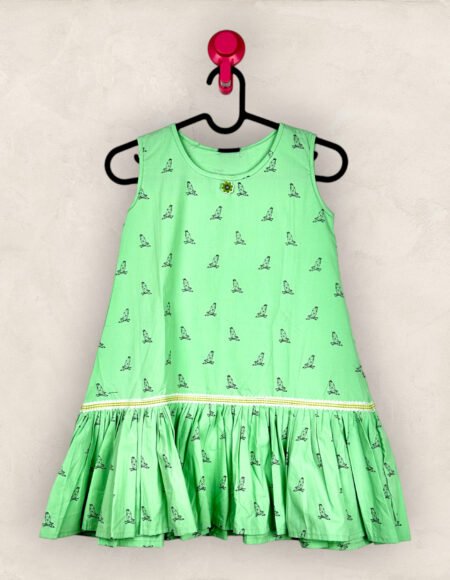 Pista Line Bird A Line Frock/6_7 years