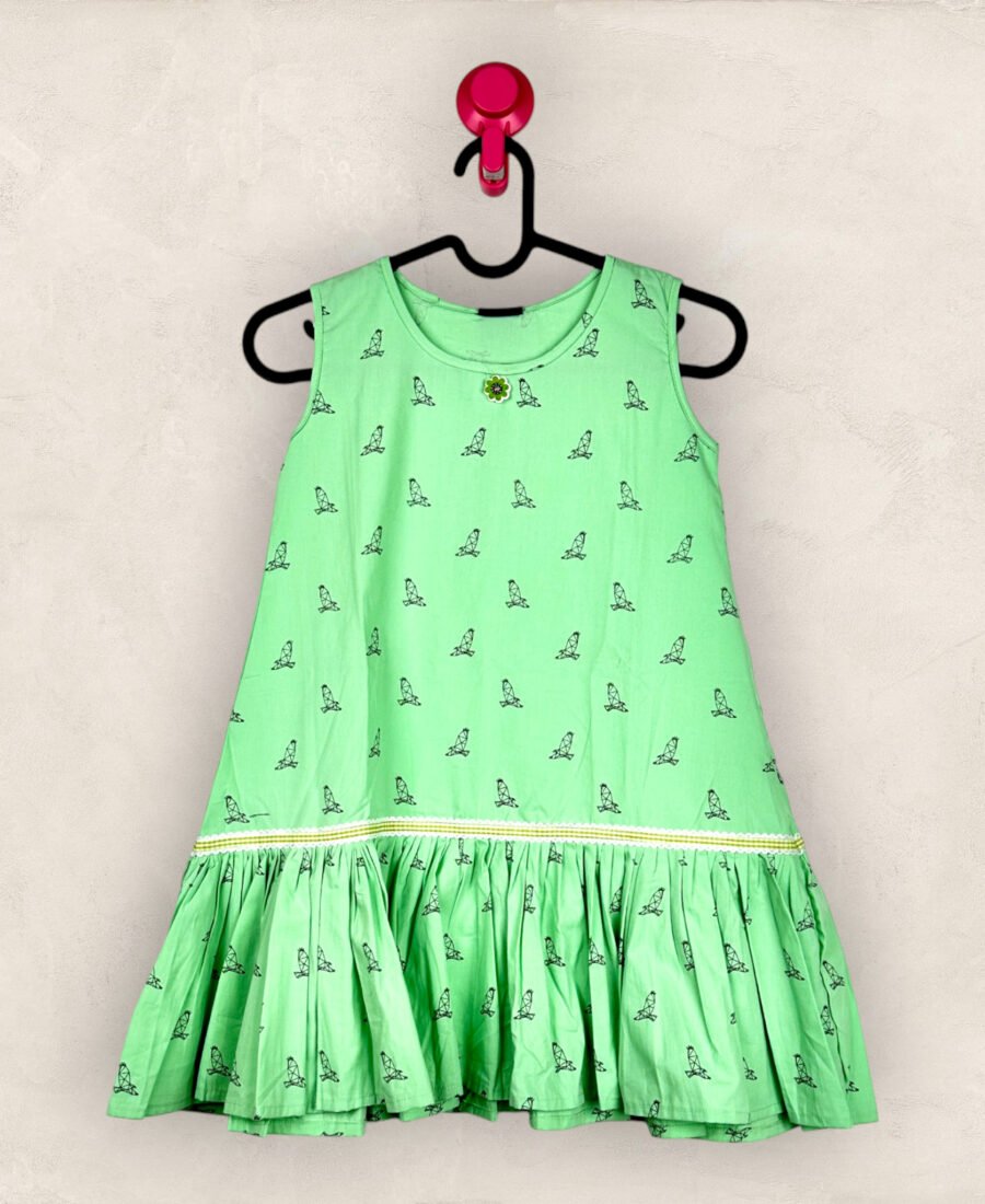 Pista Line Bird A Line Frock/6_7 years