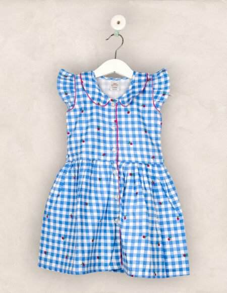 Blue Checked PeterPan Coloured Frock/6-7 Years