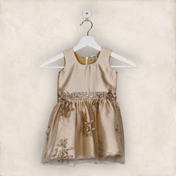 The Gold Pretty Party Frock/2-3 Years