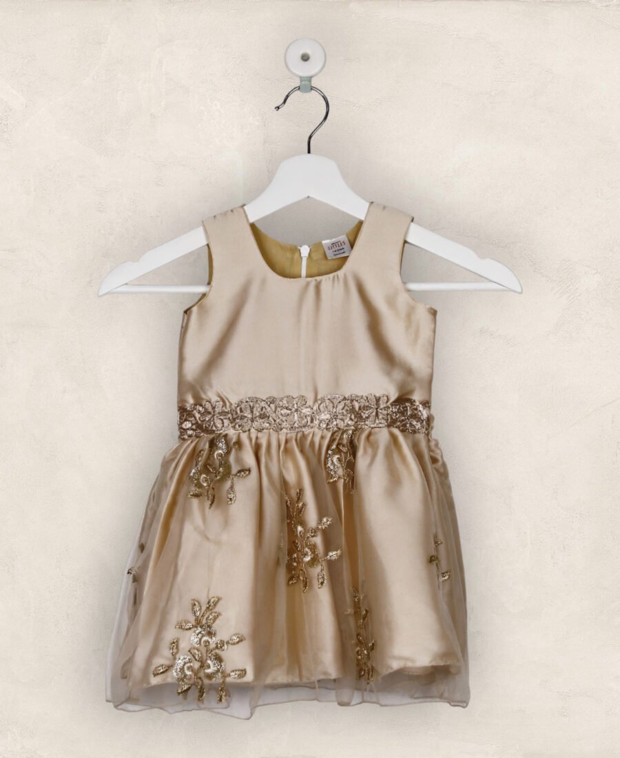 The Gold Pretty Party Frock/2-3 Years