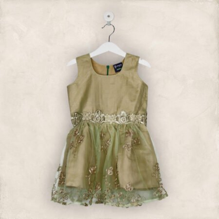 Green And Gold Net Party Frock/6-7 Years
