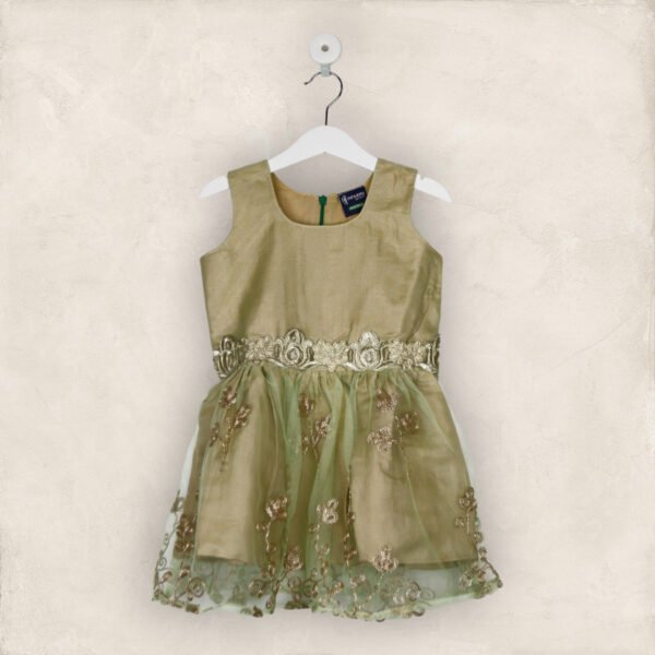 Green And Gold Net Party Frock/6-7 Years