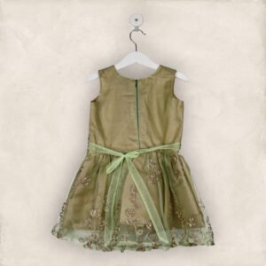 Green And Gold Net Party Frock/2-3 Years