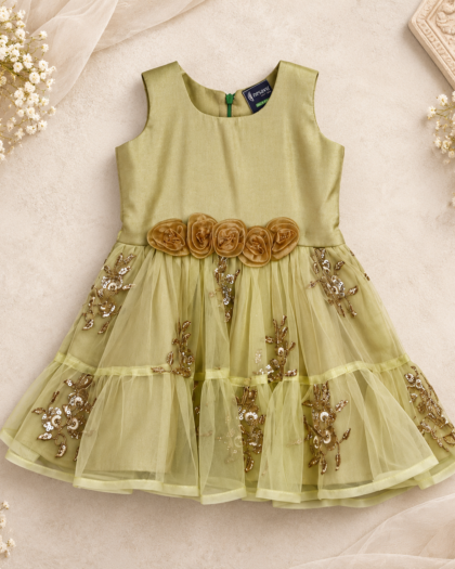 Green And Gold Net Party Frock