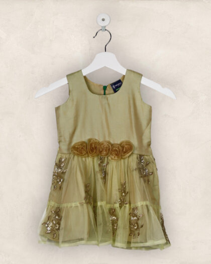 Green And Gold Net Party Frock