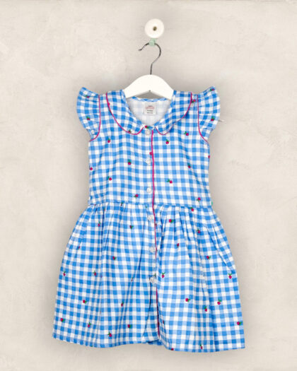 Blue Checked Peter Pan Collared Frock