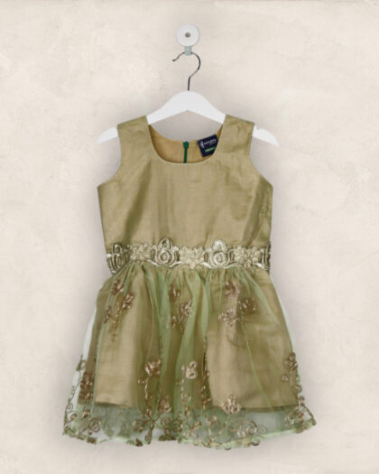 Green And Gold Net Party Frock