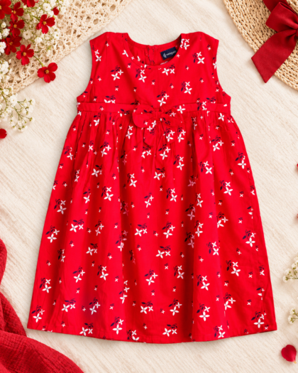 Megenta Floral Yoke Frock
