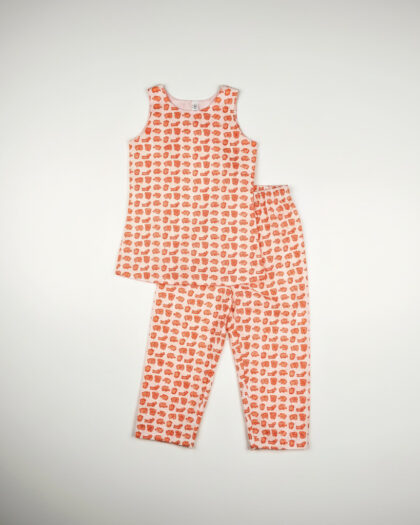 Orange Elephant Print Co-ord Set/3-4 Years