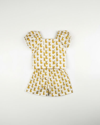 Puff Sleeved Top & Shorts/3-4 Years